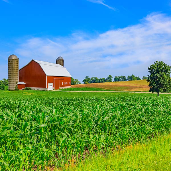 Roofing and Painting Company Iowa | Home | Walter Wells Roof Coatings ...